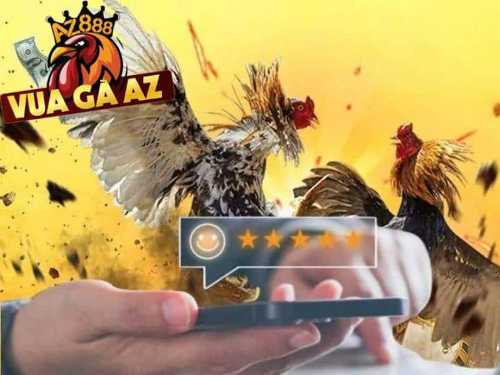 vf69 Giới thiệu sơ lược về trang cá cược đá gà trực tuyến Vua Gà AZ