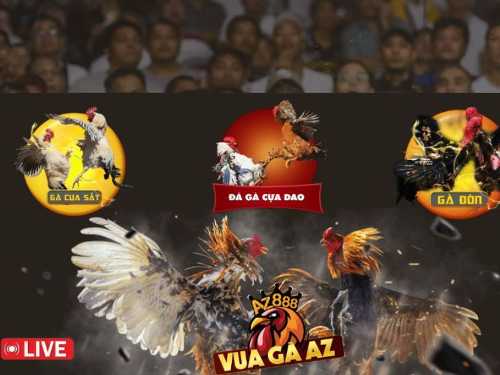 Những ưu điểm nổi bật khi tham gia cá cược đá gà tại Vua Gà AZ